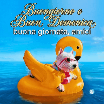 Buongiorno e Buona Domenica GIF Il Modo Più Rilassante per Salutare gli Amici!