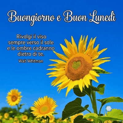 Buongiorno e Buon Lunedì La Carica Positiva per Iniziare la Settimana