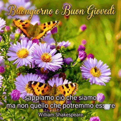 Buongiorno e Buon Giovedì La Gif Perfetta per Iniziare con Ispirazione 🌸