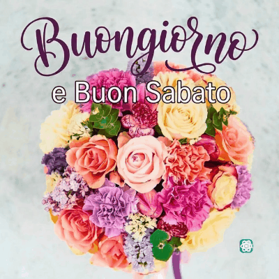 GIF Buongiorno e Buon Sabato: Fiori Colorati per Iniziare il Weekend!