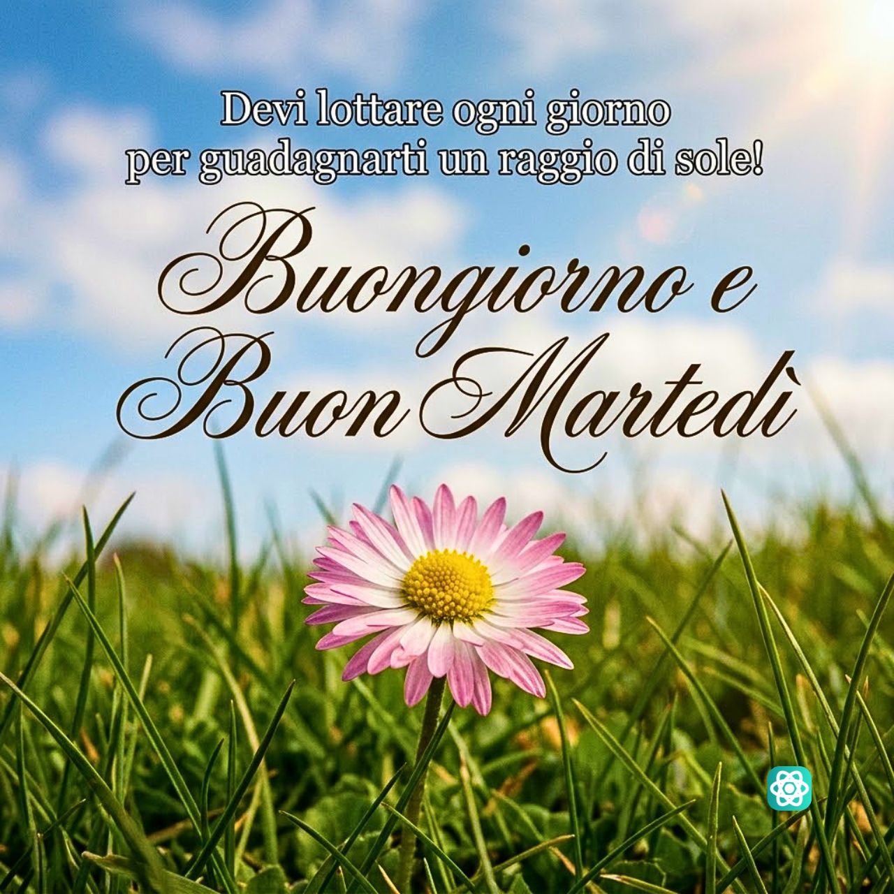 Buon Martedì Floreale Immagine del Buongiorno per Iniziare la Giornata con il Sorriso