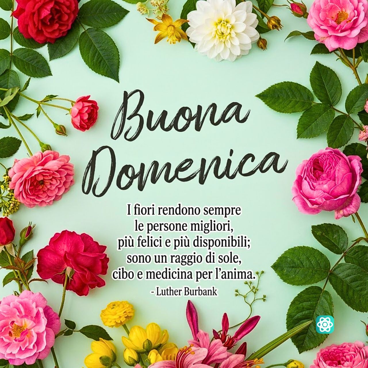 Immagini del Buongiorno Augura una Buona Domenica con i Fiori