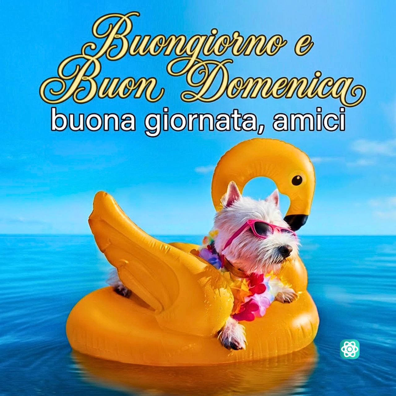 Buona Domenica con un Tocco di Relax e Simpatia Canina!