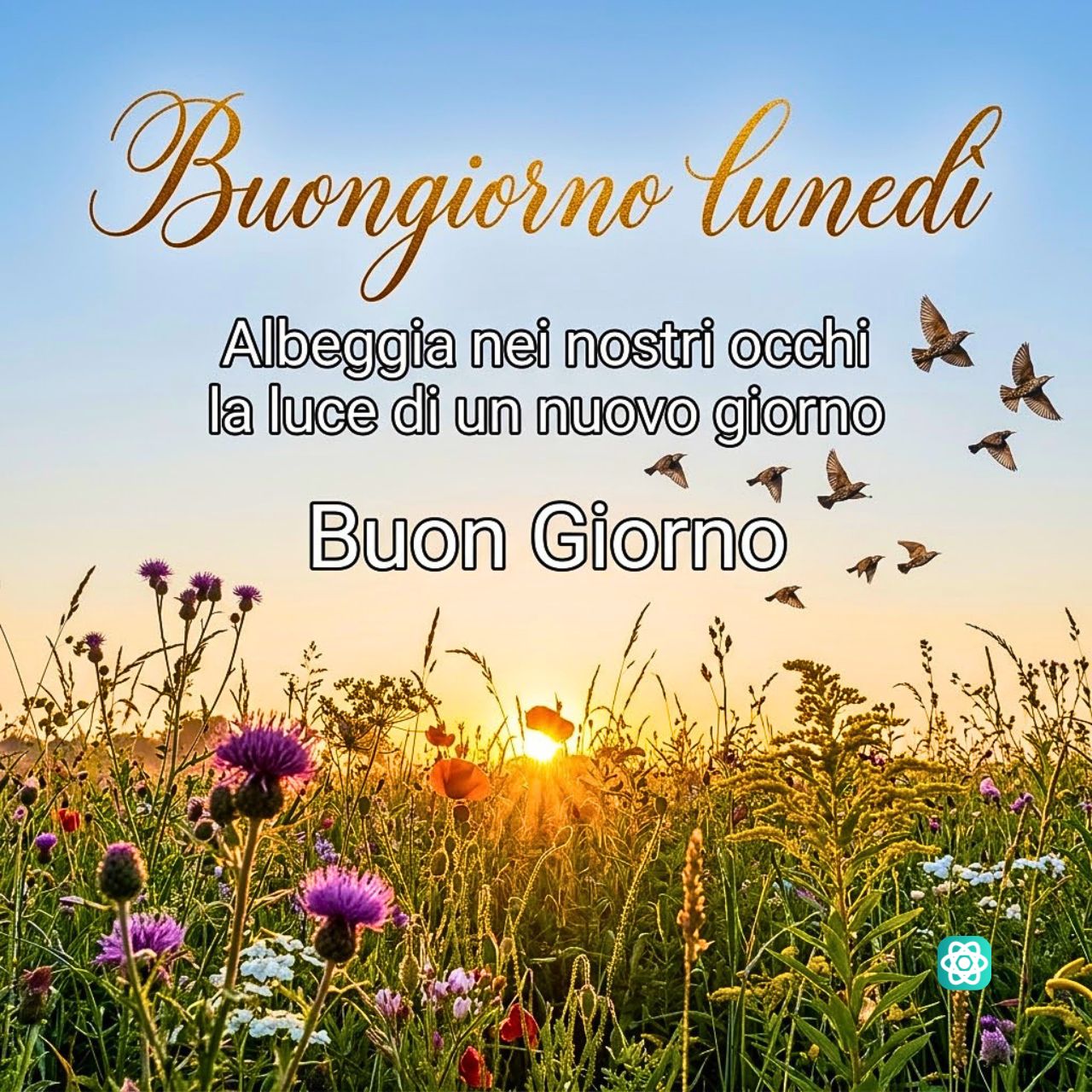 Buongiorno Lunedì Inizia la Settimana con la Luce Giusta! (Immagine e Ispirazione)