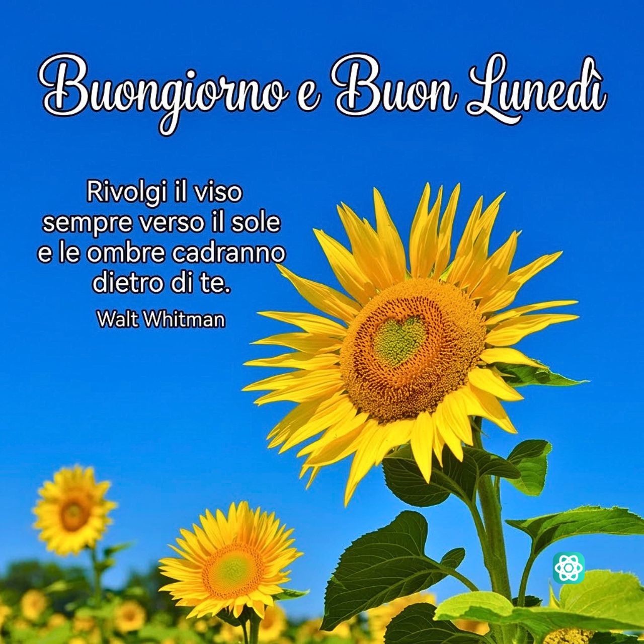 Buongiorno e Buon Lunedì Un Sorriso Solare per Iniziare la Settimana