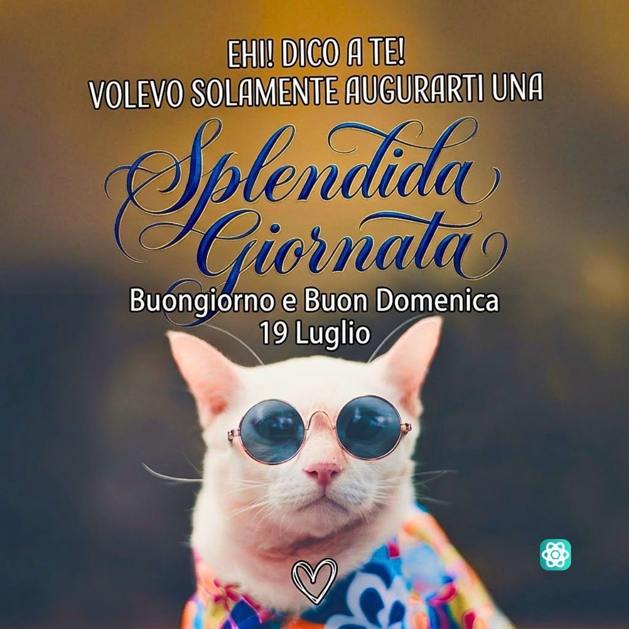 Splendida Giornata con Gatto Cool Buona Domenica 19 Luglio!