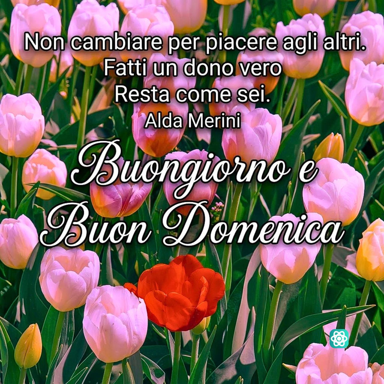 Inizia la tua Buona Domenica con la Saggezza di Alda Merini