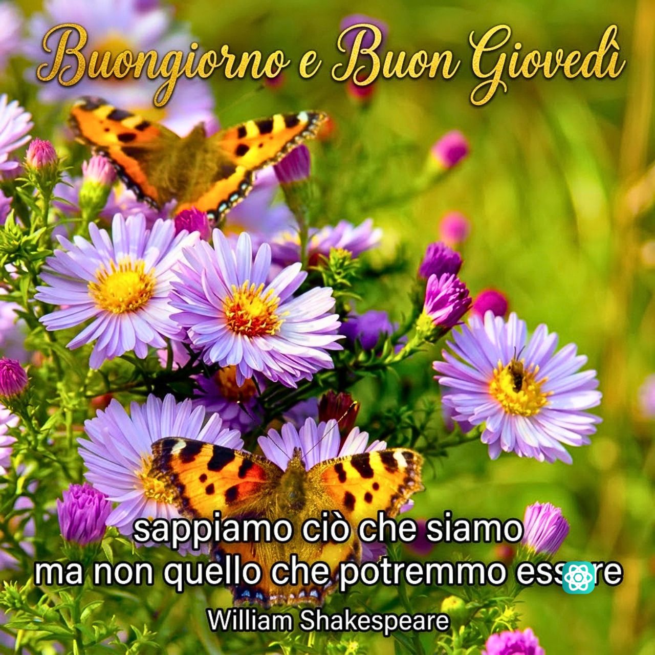 Buongiorno e Buon Giovedì Trasforma la Tua Giornata con Leggerezza e Colore