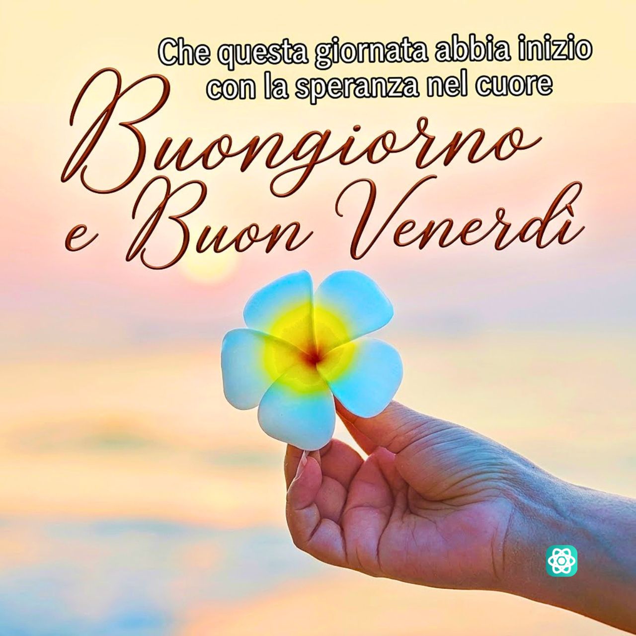 Un Inizio di Venerdì Sereno e Pieno di Speranza