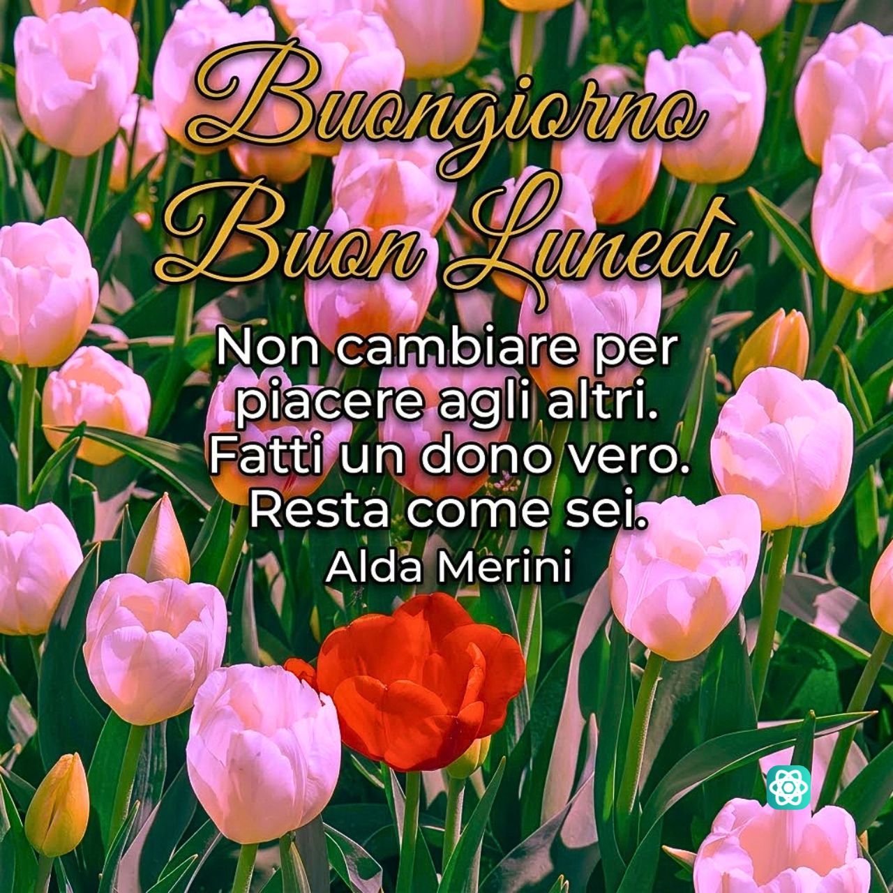 Buon Lunedì 13 Luglio Inizia la Settimana Restando Te Stesso 🌷