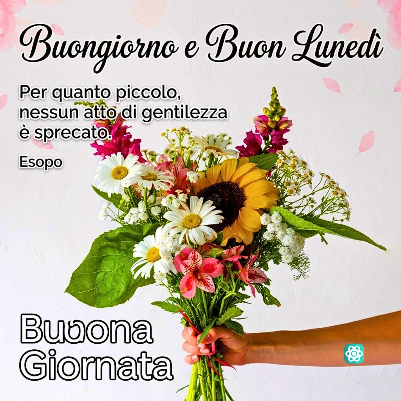 Buongiorno e Buon Lunedì Inizia la Settimana con la Dolcezza dei Fiori