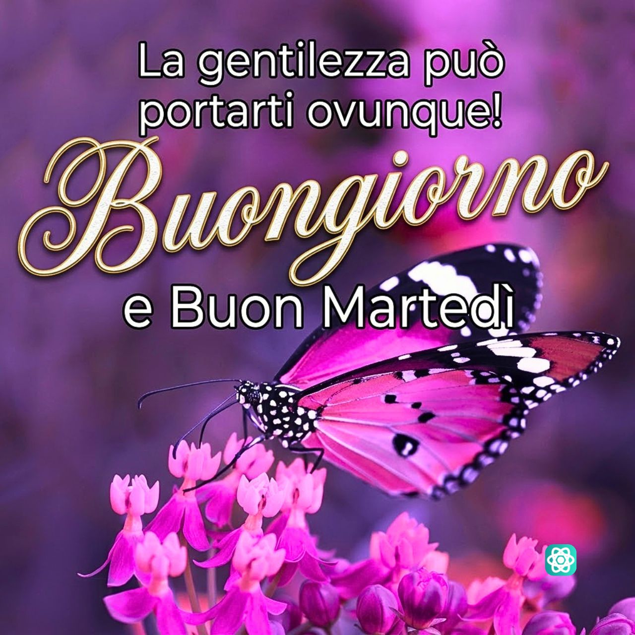 Buongiorno e Buon Martedì Inizia la Giornata con Gentilezza